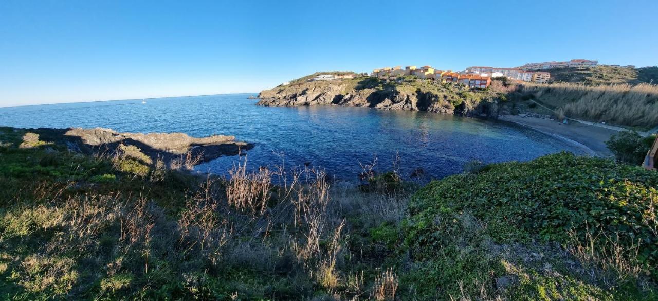 Appartement Les Pieds Dans L'Eau Collioure Exterior photo